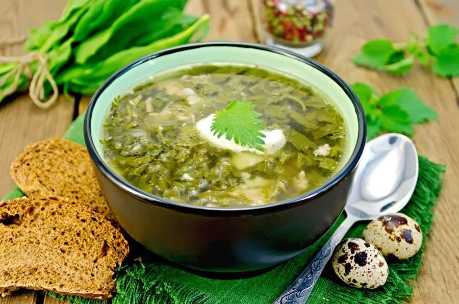 Як приготувати зелений борщ